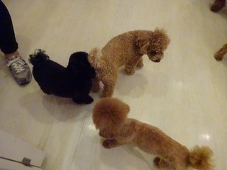 DSC08802.jpg