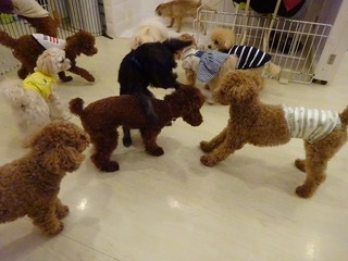 DSC08817.jpg