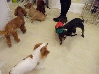DSC08859.jpg