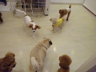 DSC08862.jpg