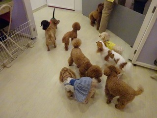 DSC08890.jpg