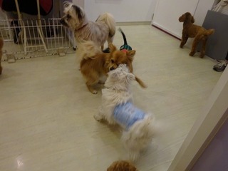 DSC08937.jpg