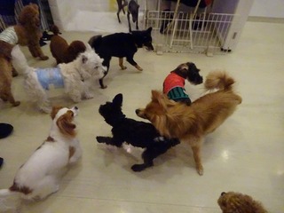 DSC08943.jpg