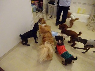 DSC08944.jpg
