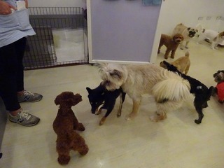 DSC08948.jpg