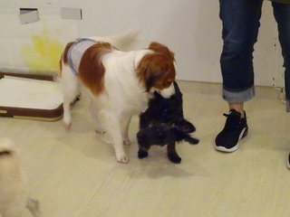 DSC08958.jpg