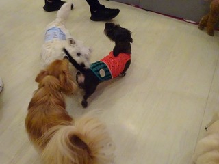 DSC08967.jpg