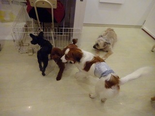 DSC09013.jpg
