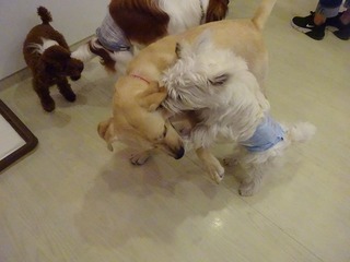 DSC09067.jpg