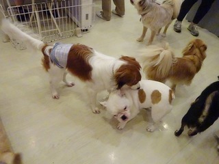DSC09110.jpg