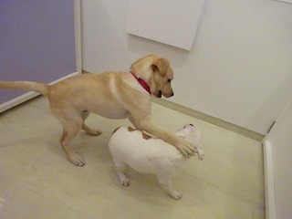 DSC09123.jpg