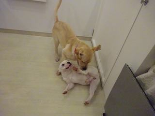 DSC09126.jpg