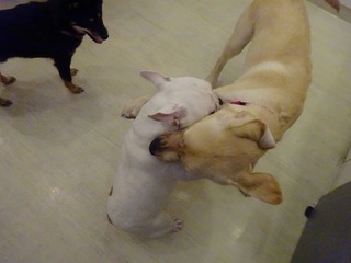 DSC09134.jpg
