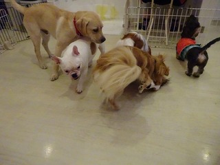 DSC09161.jpg