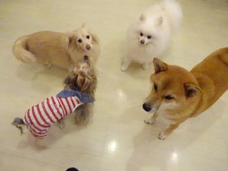 DSC09176.jpg