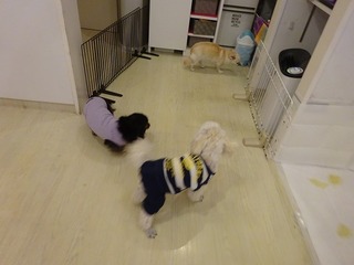 DSC09203.jpg