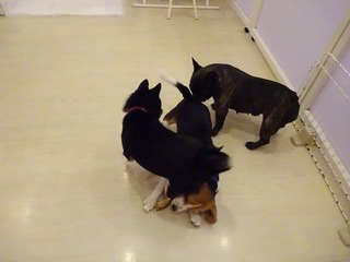 DSC09235.jpg