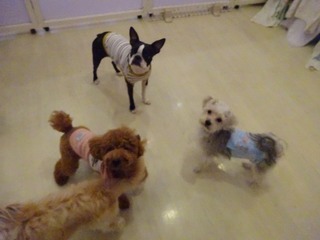 DSC09279.jpg