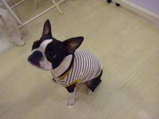 DSC09281.jpg