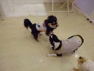 DSC09312.jpg