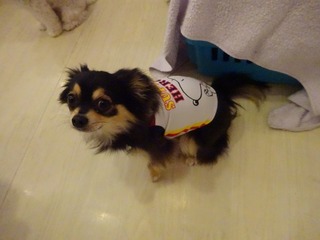 DSC09314.jpg
