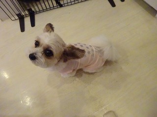 DSC09352.jpg