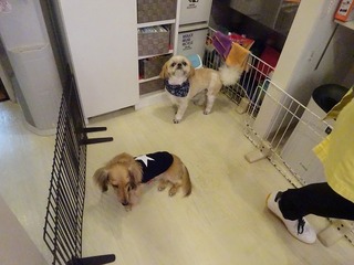 DSC09494.jpg