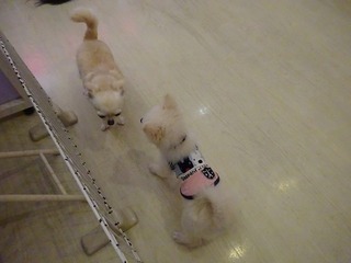 DSC09545.jpg