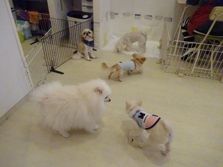 DSC09603.jpg