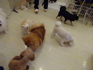 DSC09666.jpg