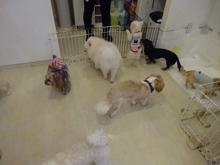 DSC09671.jpg