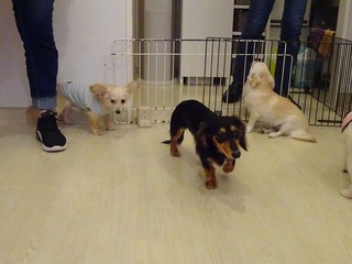 DSC09711.jpg