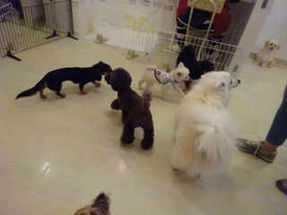 DSC09771.jpg