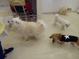 DSC09781.jpg