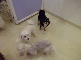 DSC09803.jpg
