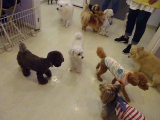 DSC09817.jpg