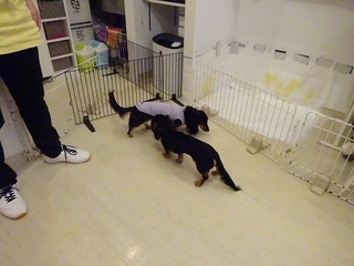 DSC09849.jpg