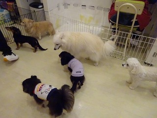 DSC09871.jpg