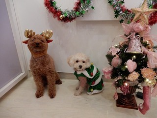 DSCN0939.jpg