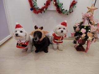 DSCN1027.jpg