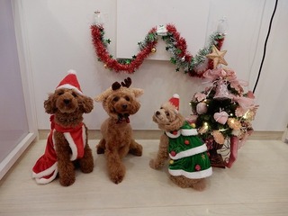 DSCN1086.jpg