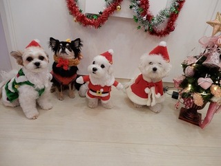 DSCN1097.jpg