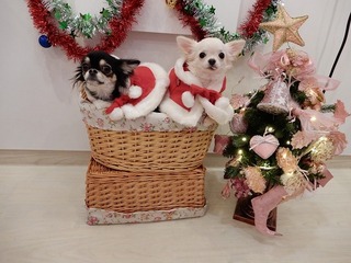 DSCN1162.jpg