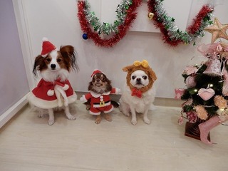 DSCN1198.jpg