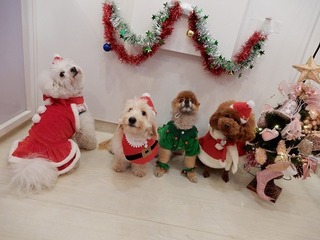 DSCN1210.jpg