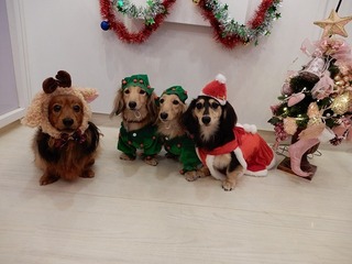 DSCN1253.jpg