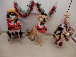 DSCN1270.jpg