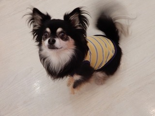 DSCN1278.jpg