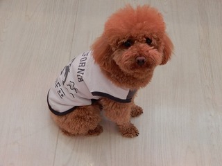DSCN1281.jpg