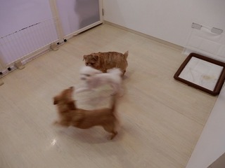 DSCN1303.jpg